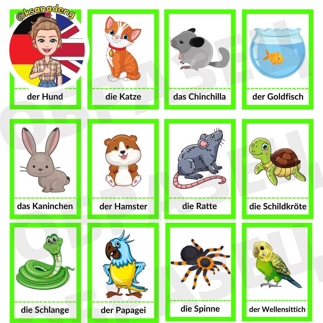 №30 ▪️ Haustiere (Bildkarten + Spiele) ▪️ | First Image