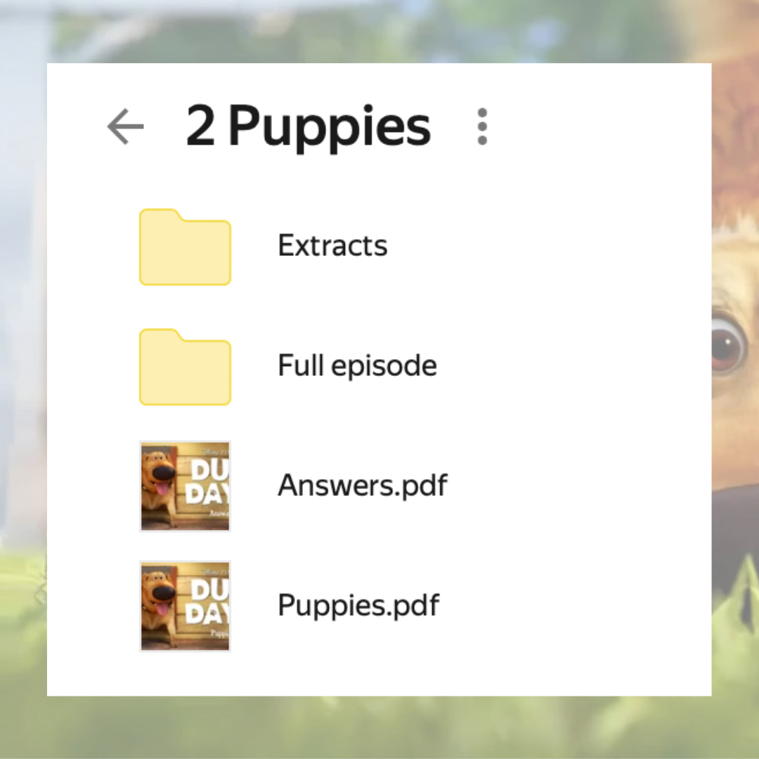 Интерактивный воркбук Dug Days (Puppies) А2 | First Image